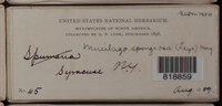 Image Associated With the Occurence